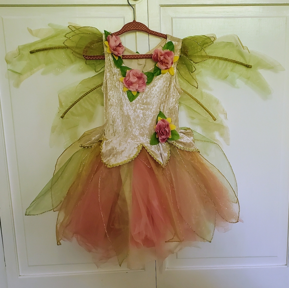 Rare Editions Green and Pink Theater Fairy Costume